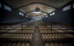 Chateau Palmer Château Palmer Barrel Room Winery Image