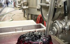 Chimney Rock Winery 100% Estate, Free Run Juice Winery Image