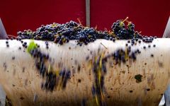 Duckhorn Three Palms Merlot 2018 | Wine.com Duckhorn Three Palms Merlot 2018 | Wine.com