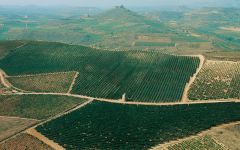 Sierra Cantabria Winery Image