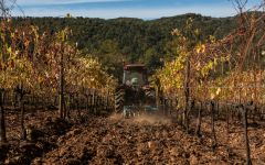 Castello Romitorio  Winery Image