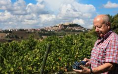 Garofoli Winemaker Carlo Garofoli Winery Image