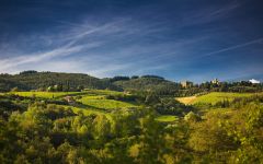 Castello di Volpaia Volpaia and Vineyards Winery Image