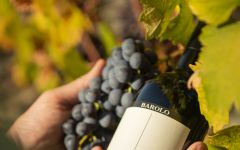 Gianni Gagliardo Barolo Winery Image