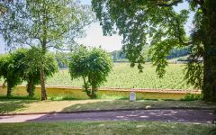Canard-Duchene Vines at the Property Winery Image