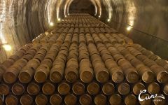 Vina Real  Winery Image