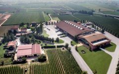 Pasqua Pasqua Winery  Winery Image