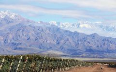 Familia Zuccardi Vineyards Piedra Infinita Vineyard Winery Image