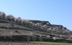 Vizcarra Winery Image