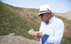 Bodegas Jorge Ordonez Malaga Winery Image