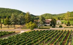 Chateau Du Caillau Château du Caillau Vineyard Winery Image