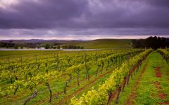 Jansz Tasmania  Winery Image