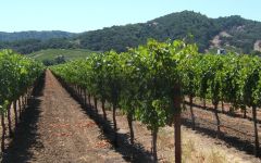 Heritance Winery Image