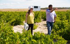 Bodegas Vatan  Winery Image