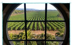 Sella & Mosca Winery Image