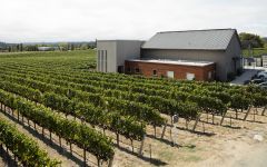 Ron Rubin Winery Image