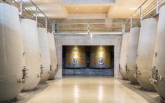 Bodega Garzon Uruguay Premium Area Winery Image