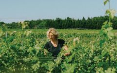 Mouton Cadet Winery Image