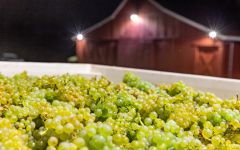 Crossbarn by Paul Hobbs  Winery Image