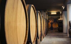 G.D. Vajra Aging Cellar Winery Image