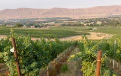 Klipsun A Washington 1st Growth Vineyard Winery Image