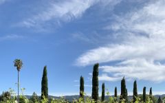 Heir Apparent Summer in the Vineyards Winery Image