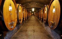 Badia a Coltibuono Badia a Coltibuono Barrel Room Winery Image