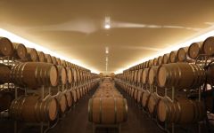 Cusumano Cusumano Barrel Cellar Winery Image