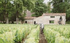 Chateau Les Carmes Haut-Brion Horse Work Winery Image