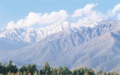 Don Melchor Don Melchor Vineyard in Puente Alto Winery Image