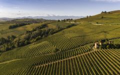 G.D. Vajra San Pietro Winery Image