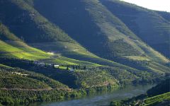 Prats & Symington Quinta de Roriz Winery Image