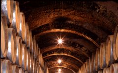 Bodegas Protos Protos Underground Cellar Winery Image