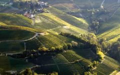 Beni di Batasiolo Briccolina Winery Image