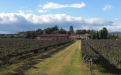 Cleto Chiarli Cleto Chiarli Winery Winery Image