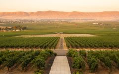 Col Solare Red Mountain Vineyard Winery Image