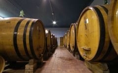 Fanti Bottaia Winery Image