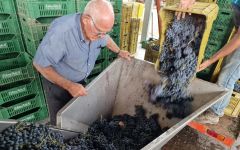 Gurrieri Harvest Winery Image