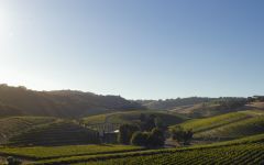 L'Aventure L'Aventure Estate Winery Image
