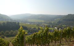 Karthauserhof Winery Image