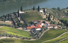 Prats & Symington Quinta Lodge Winery Image