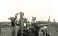 Ponzi Nancy and Dick Planting Estate Vineyard Winery Image