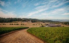 Gran Moraine Winery Image