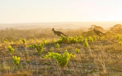 Two Hands Wines Winery Image