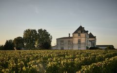 Wine - Buy Online | Wine.com