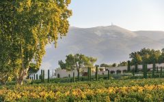 Chateau Pesquie Mont Ventoux Winery Image