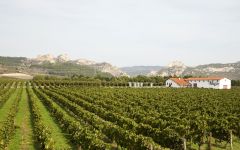 Bodegas Muga Winery Image