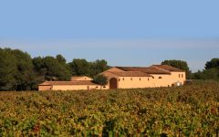 Commanderie de la Bargemone Vineyards of La Bargemone Winery Image