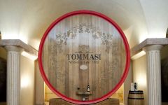 Tommasi Winery Image