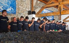 Ramos Pinto A Successful Harvest at Ramos Pinto Winery Image